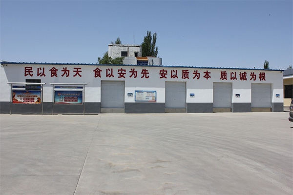02.jpg